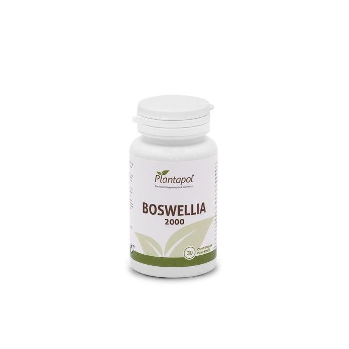 Boswellia 2000