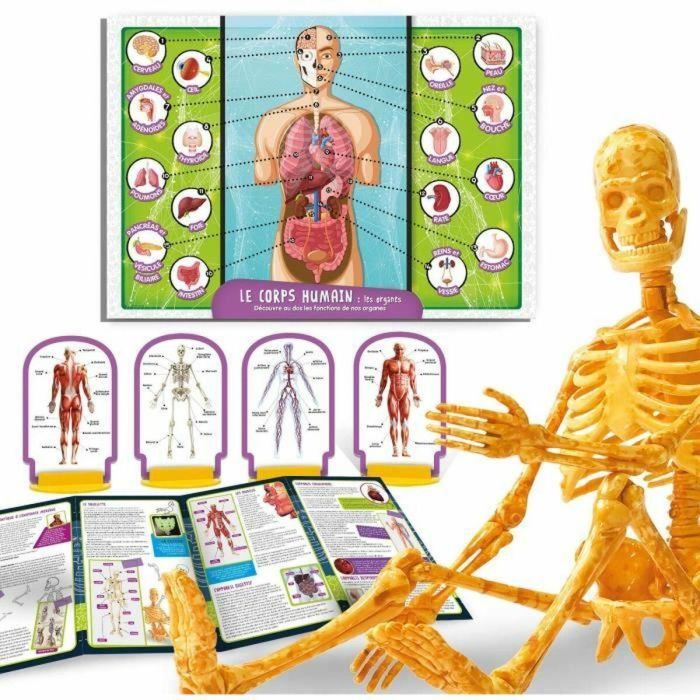 Lisciani Giochi LIS8008324104970 Descubrimiento del Cuerpo Humano - Kit Científico I'M A GENIUS POCKET Modelo 3D 3