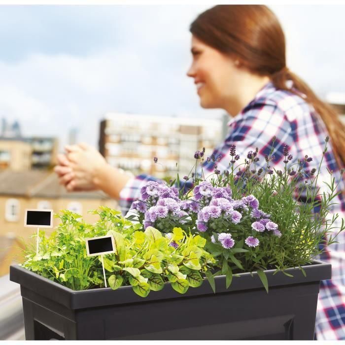 EDA Vegetable garden with City Veg table & Table - 73 x 38.5 x H 68 cm - 57 L - Gris antracita 2 EDA Vegetable garden with City Veg table & Table - 73 x 38.5 x H 68 cm - 57 L - Gris antracita 2