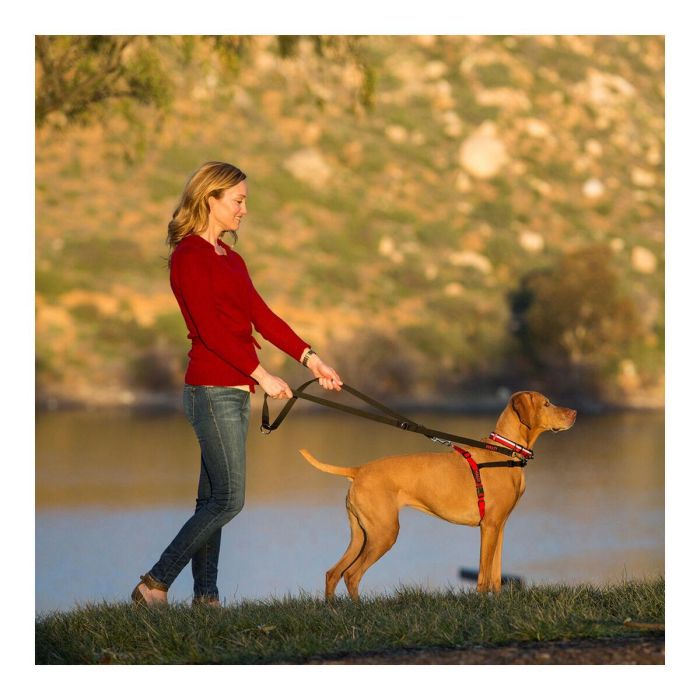 Arnés para Perro Company of Animals Halti Negro/Rojo L (80-120 cm) 11