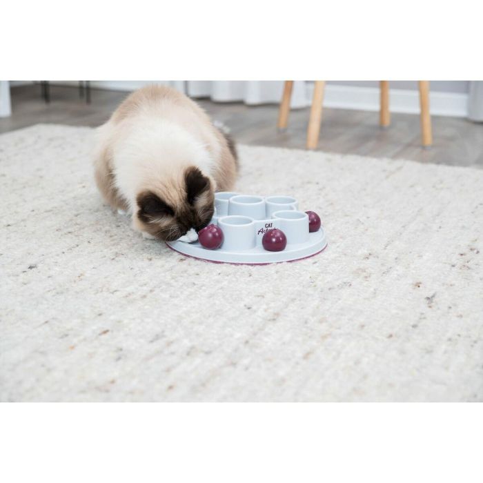 Trixie TRI4011905458953 Juego de Estrategia para Gatos Pentágono ø 28 cm 8
