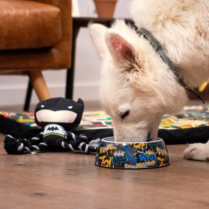 Comedero para perro m batman t3m:m 6 Comedero para perro m batman t3m:m 6