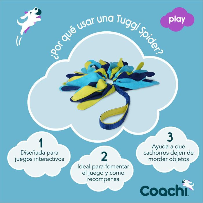 Juguete de adiestramiento Coachi TUGGI SPIDER Azul 3