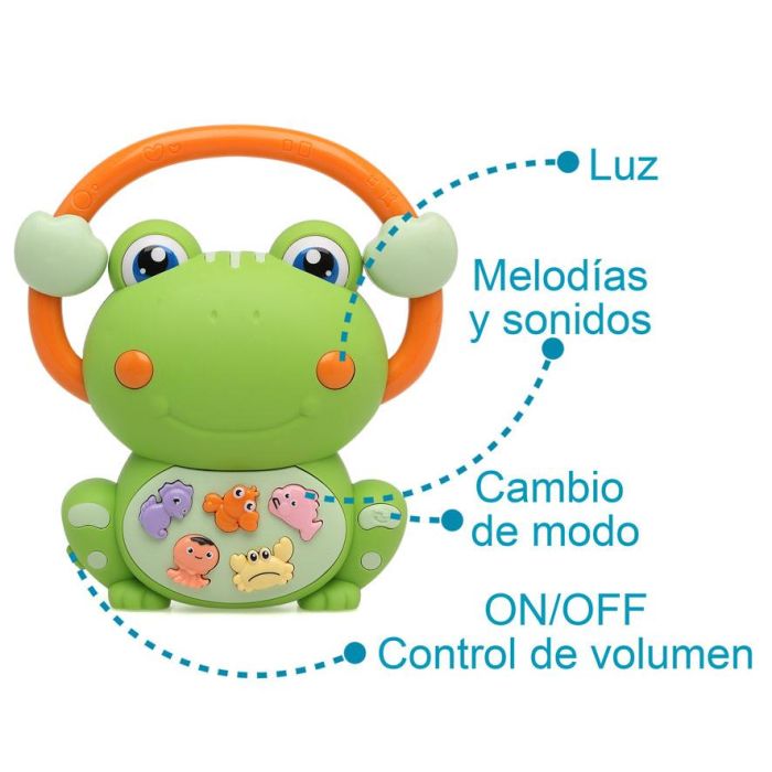 KioKids Juguete Musical Rana Verde con Luces, Sonidos Animales y Melodías, Educativo y Agarre Fácil para Bebés +12m 4
