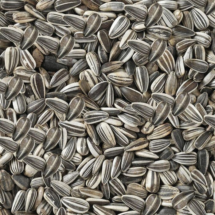 Comida para pájaros Deli Nature Premium 2,5 kg 1