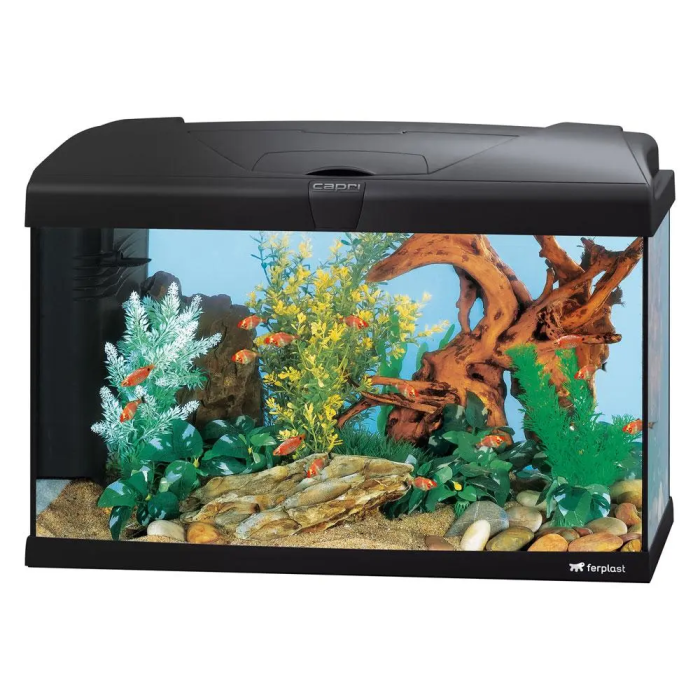 Ferplast Acuario Capri 60 60x31,5x39,5 cm 60 L