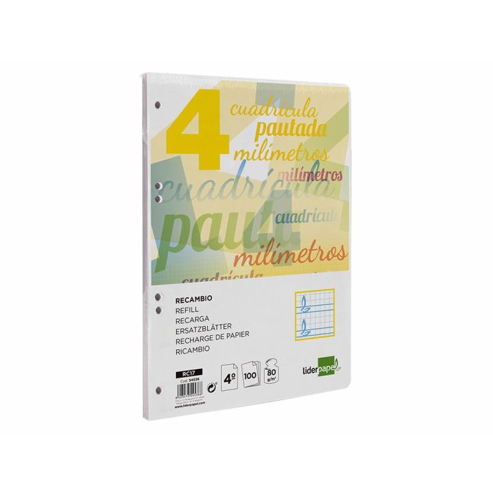 Recambio Liderpapel Cuarto Pautaguia 100 Hojas 75 gr Cuadriculado Pautado 4 mm Con Margen 6 Taladros 3