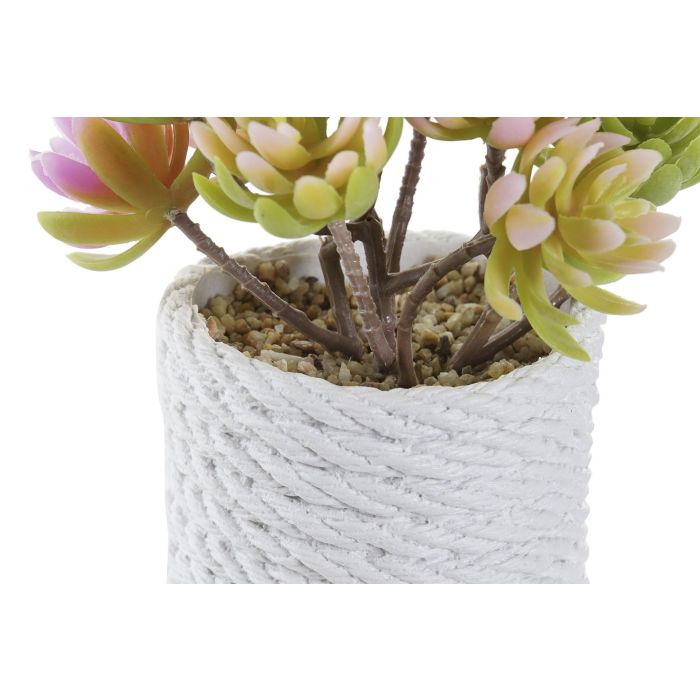 Planta DKD Home Decor Beige Gris 10 x 14.5 x 12 cm (6 Unidades) 2