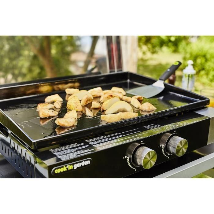 Finesta Gas Plancha 2 Quemadores de acero inoxidable - Encendido integrado - Tanque de acero - 66x56 Superficie de cocción 4