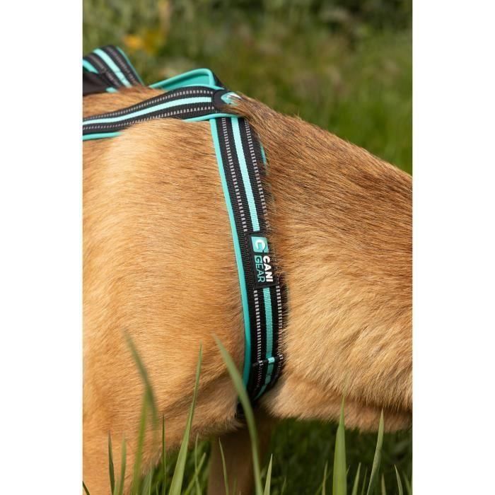 Arnés de tracción para perros - OLYMPIA - S - Tipo X-back - Azul 5