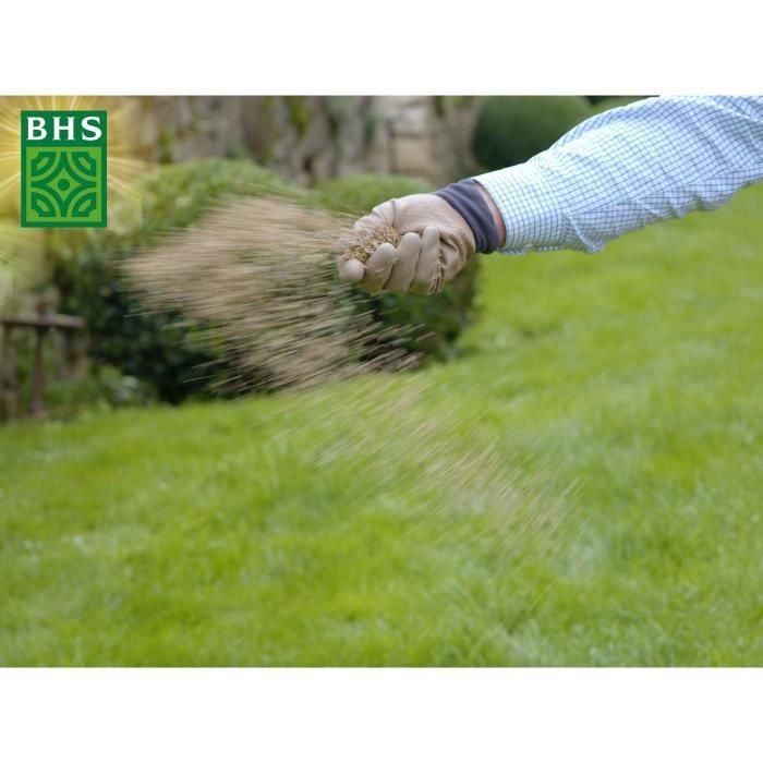 Césped - BHS - Regenerador de césped 1 kg 3 Césped - BHS - Regenerador de césped 1 kg 3