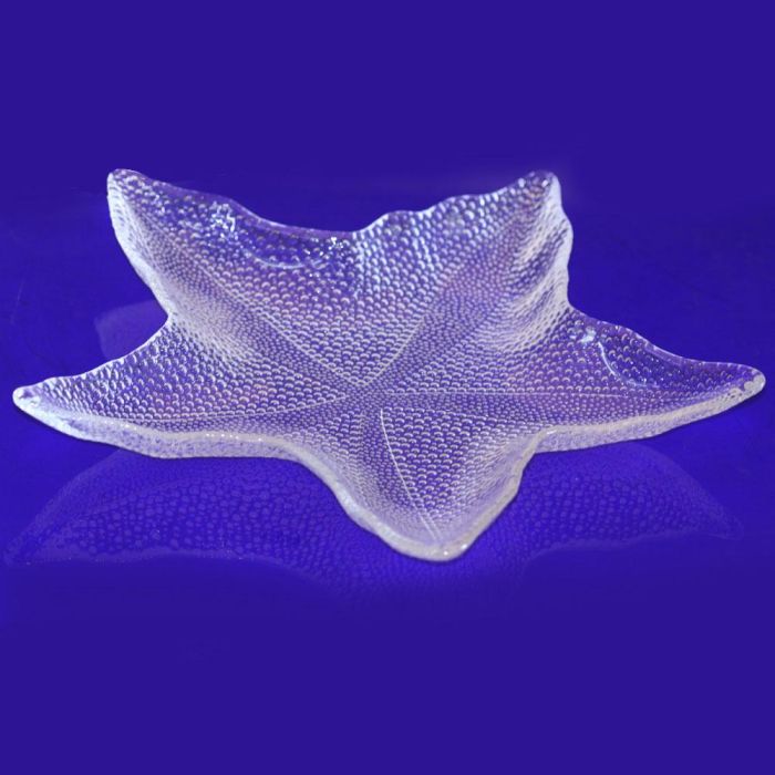 Plato Estrella Mar Avet diámetro 34,5 cm (4 Unidades) 1