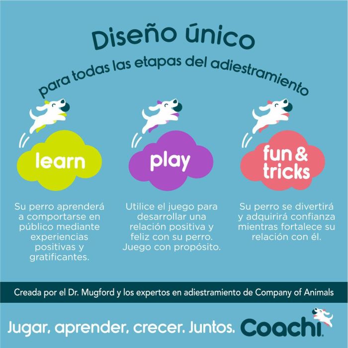 Juguete de adiestramiento Coachi 6