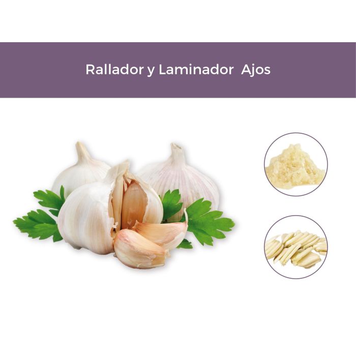 Rallador de Ajos Quttin (24 Unidades) 2 Rallador de Ajos Quttin (24 Unidades) 2