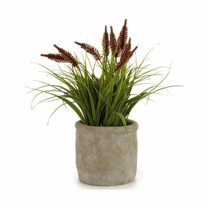 Planta Decorativa Ibergarden XD171059 Plástico Espiga 12 x 30 x 12 cm (8 Unidades) 2