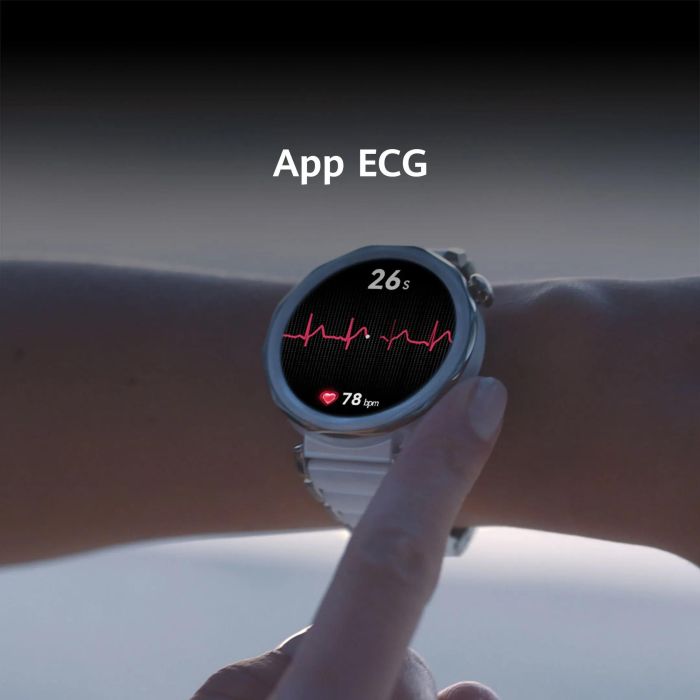 Reloj Hombre Huawei Vili-B29F Negro 1,43" 46 mm 4