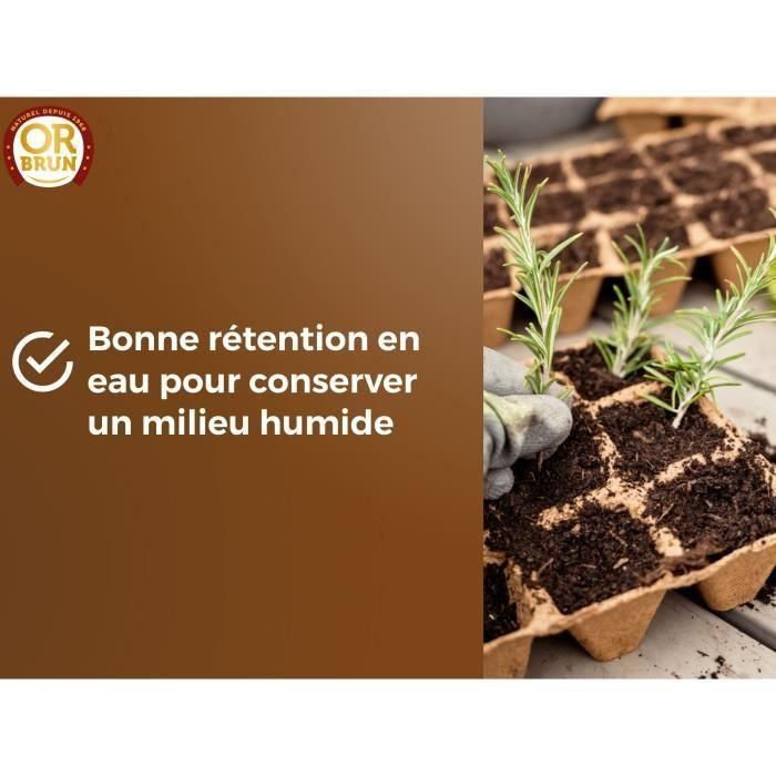 Tierra para Semillas - ORO MARRÓN - OBRTSEM6U - 6L - Mejora el Drenaje - Retención Óptima de Agua 4 Tierra para Semillas - ORO MARRÓN - OBRTSEM6U - 6L - Mejora el Drenaje - Retención Óptima de Agua 4