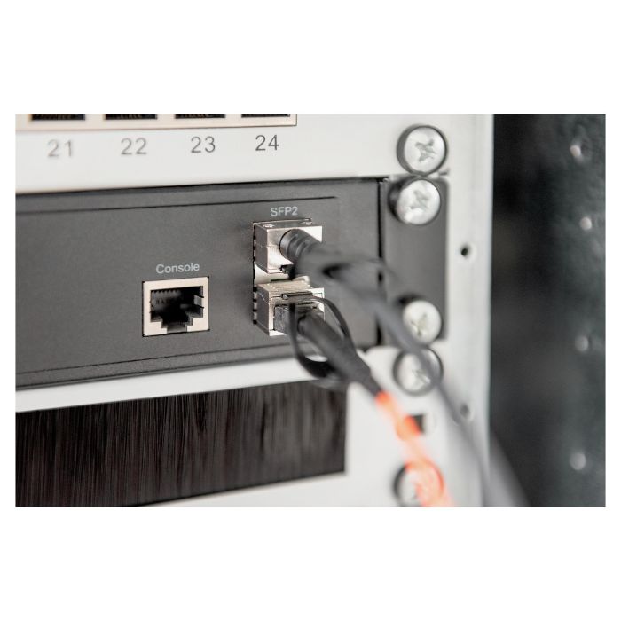 Digitus Cable SFP+ 10G DAC 2m Negro AWG 30 MSA 2 Digitus Cable SFP+ 10G DAC 2m Negro AWG 30 MSA 2