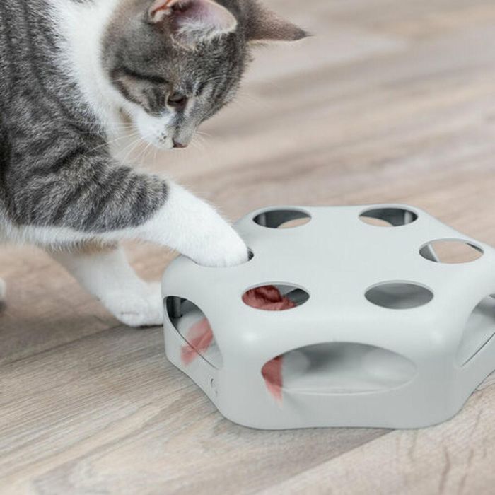 Juguete para gatos Trixie Gris Plástico Ø 22 cm 1