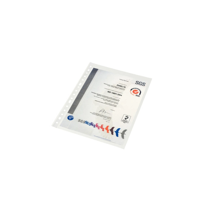 Esselte Funda Multitaladro DIN A4, Polipropileno Cristal, 80 Micras, Caja de 100 Unidades 2