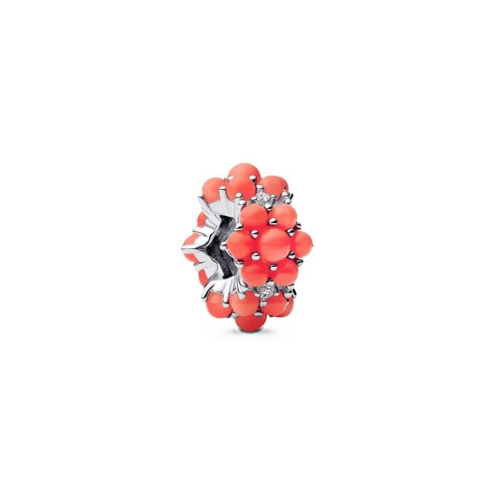 Abalorio Mujer Pandora 793897C01 Plateado Abalorio Mujer Pandora 793897C01 Plateado