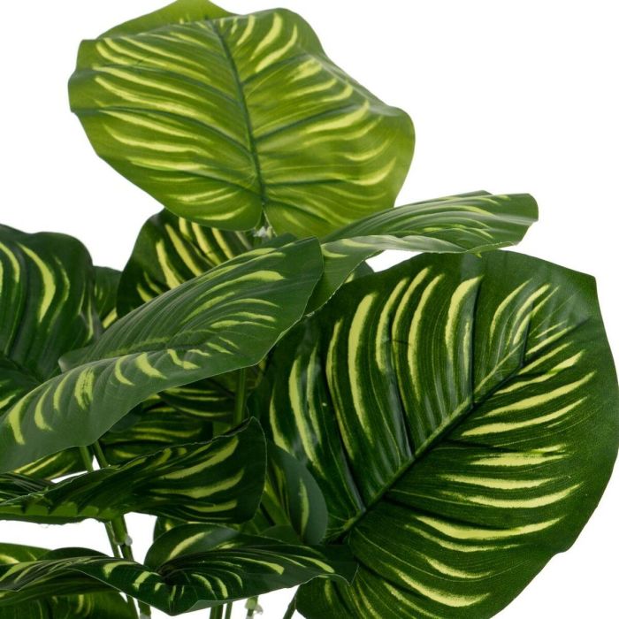 Planta Decorativa Polietileno Plástico Calathea 28 x 28 x 37 cm 3