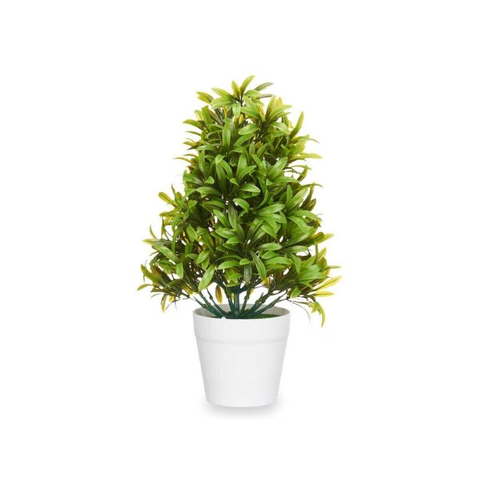 Planta Decorativa Ibergarden 547 Plástico 18 x 35 x 16 cm (6 Unidades) 2