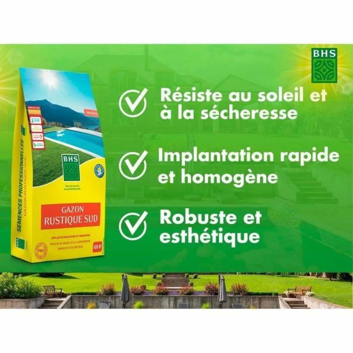 BHS BHS3366670000991 Césped Rústico 10 KG 2 BHS BHS3366670000991 Césped Rústico 10 KG 2