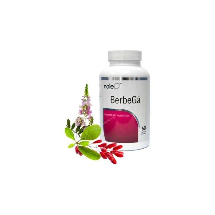 Berbegá