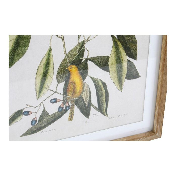 Cuadro Tropical DKD Home Decor Verde Beige 2.5 x 70 x 55 cm (4 Unidades) 1 Cuadro Tropical DKD Home Decor Verde Beige 2.5 x 70 x 55 cm (4 Unidades) 1