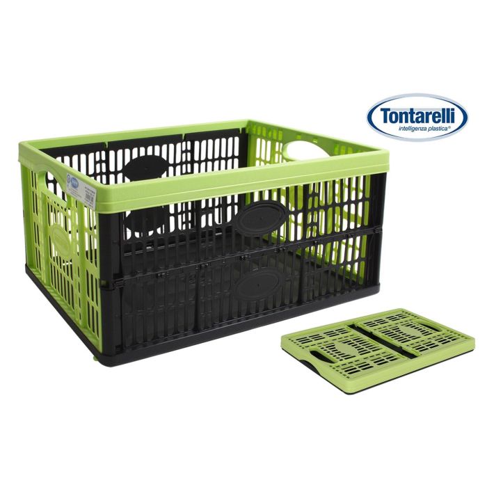 Caja Plegable Voila 32L 47.5x35x23.6 cm Verde/Negro Tontarelli (10 Unidades) Caja Plegable Voila 32L 47.5x35x23.6 cm Verde/Negro Tontarelli (10 Unidades)