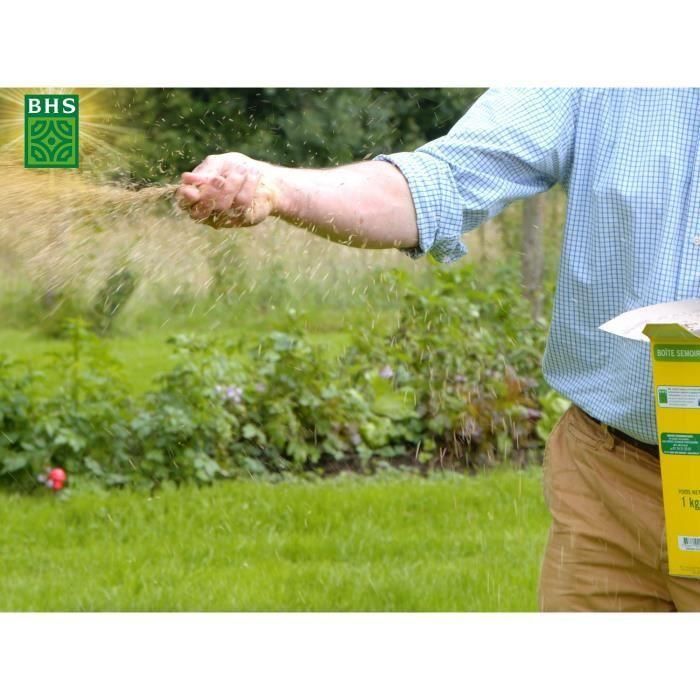 Césped - BHS - Césped Seaside 1kg | 40m² | Resistente al viento, sequía, salinidad | Hermoso césped de verano, estético y robusto. 3 Césped - BHS - Césped Seaside 1kg | 40m² | Resistente al viento, sequía, salinidad | Hermoso césped de verano, estético y robusto. 3