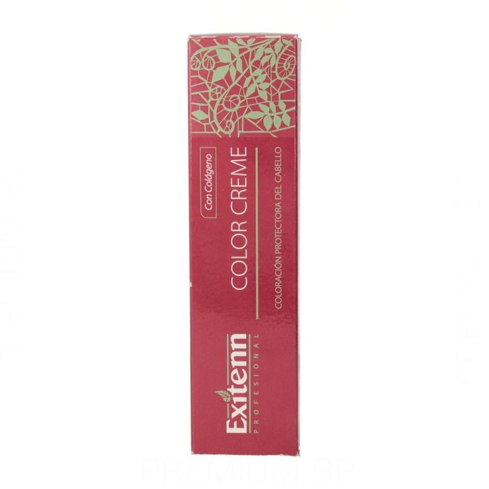 Exitenn Profesional Color Creme 60 ml Tinte Capilar Permanente 12/0.22