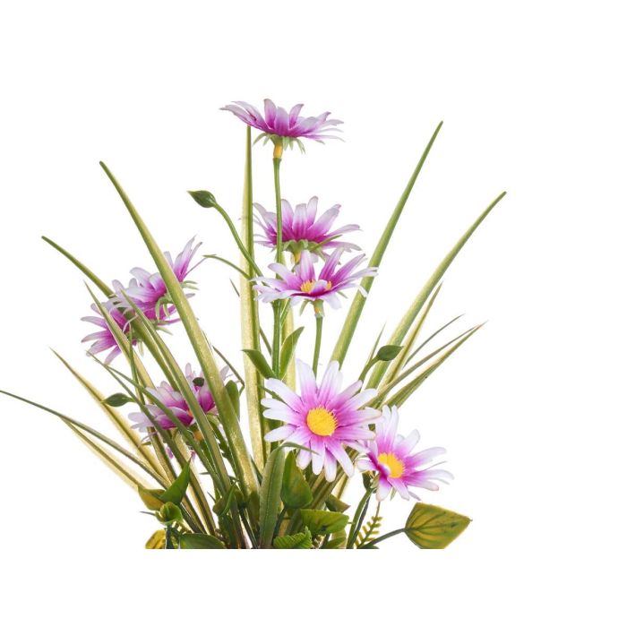 Planta Margarita Bote Metal Surtidos Ibergarden 15x31x15cm (12 Unidades) 2 Planta Margarita Bote Metal Surtidos Ibergarden 15x31x15cm (12 Unidades) 2