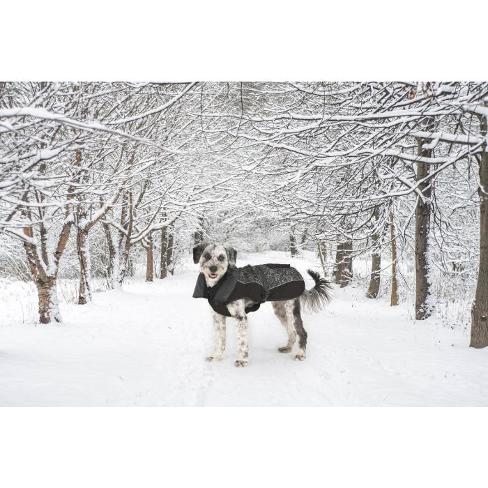 Dog Gone Smart Abrigo Parka Aspen para Perro Impermeable Cortavientos Reflectante Meteor Antimanchas Repez-It Negro 60 cm 1 Dog Gone Smart Abrigo Parka Aspen para Perro Impermeable Cortavientos Reflectante Meteor Antimanchas Repez-It Negro 60 cm 1