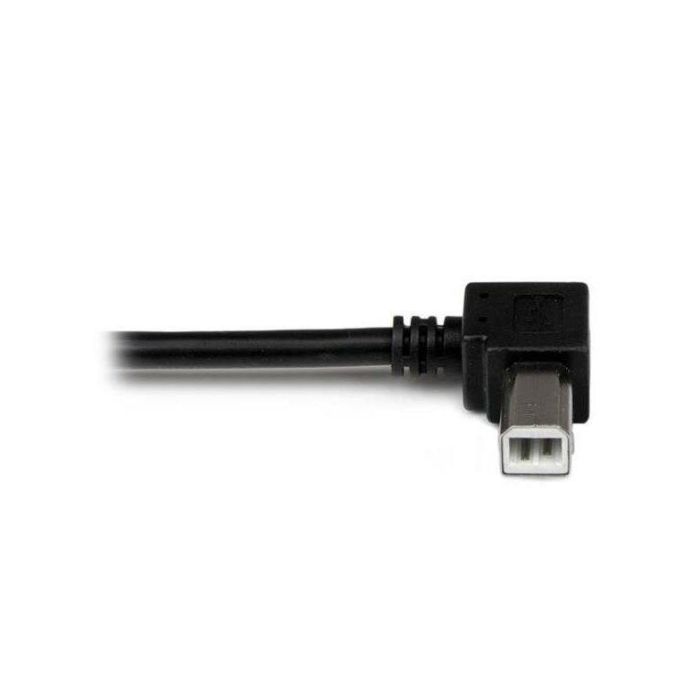 Cable USB A a USB B Startech USBAB3ML Negro 2