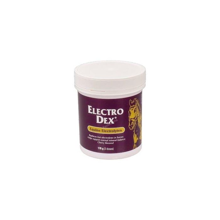 Vetnova Vet Electro Dex Mini 170 G Sales Solubles