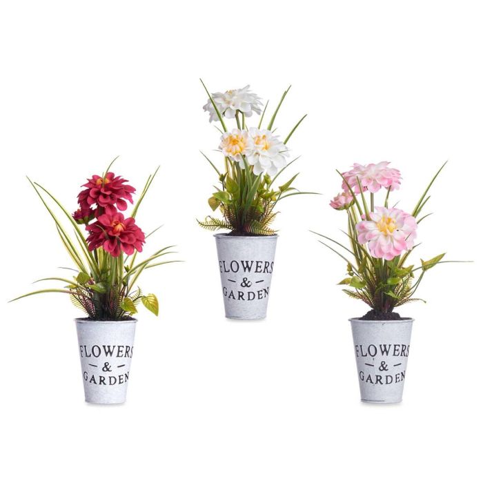 Planta Flor Abierta Bote Metal Surtidos Ibergarden 15X31CM (12 Unidades) 1 Planta Flor Abierta Bote Metal Surtidos Ibergarden 15X31CM (12 Unidades) 1