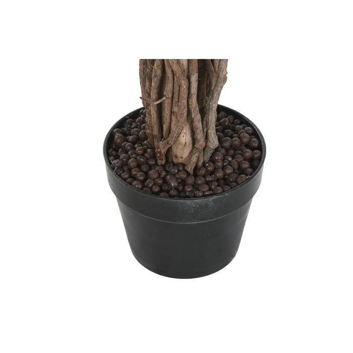 Arbol Tropical DKD Home Decor Verde Marron 80 x 120 x 80 cm (2 Unidades) 3 Arbol Tropical DKD Home Decor Verde Marron 80 x 120 x 80 cm (2 Unidades) 3