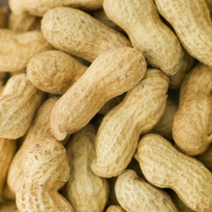 Comida para pájaros Deli Nature Premium 1,6 kg 1