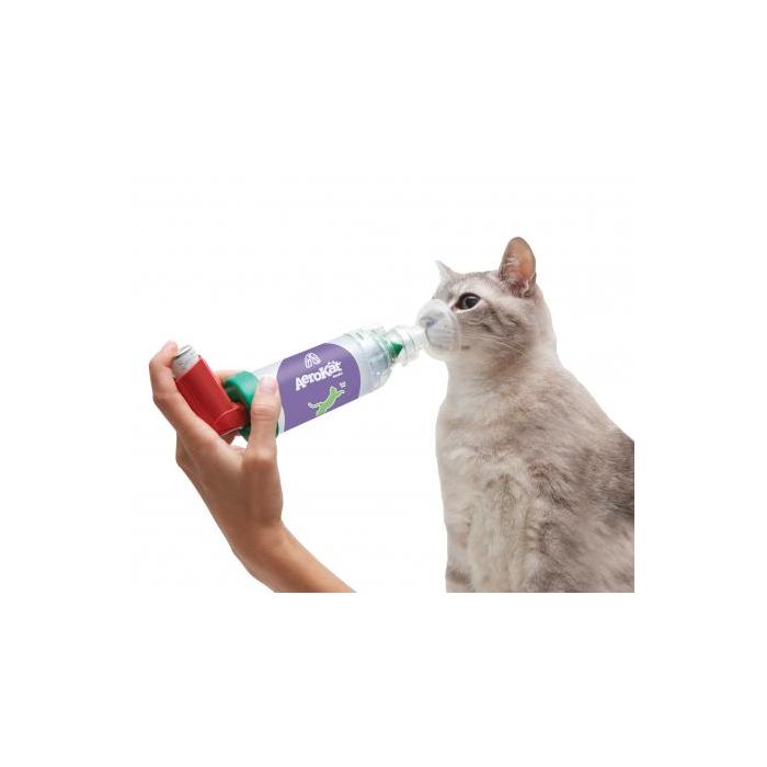 Cámara de Inhalación Aerosoles Aerokat para Gatos Pequeños y Perros hasta 4.5 kg - Incluye 2 Mascarillas Cámara de Inhalación Aerosoles Aerokat para Gatos Pequeños y Perros hasta 4.5 kg - Incluye 2 Mascarillas
