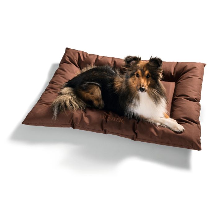 Hunter Cama para Perros Gent Antibacterias SILVERPLUS® BIONIC FINISH® C6 Lavable Interior/Exterior 100x70 cm Marrón Poliéster 1