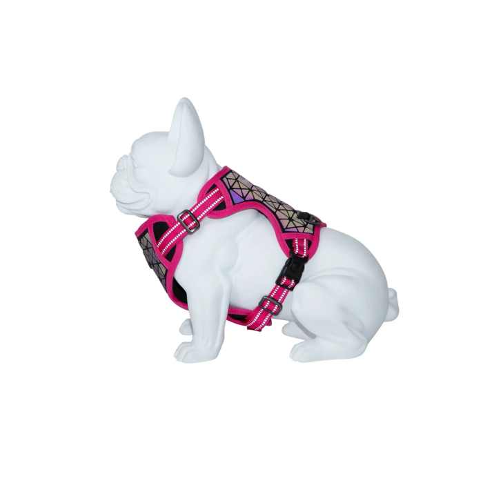 Freedog Arnés Boreal Fucsia 20 mm Cuello 38-59 cm P. 38-75 cm