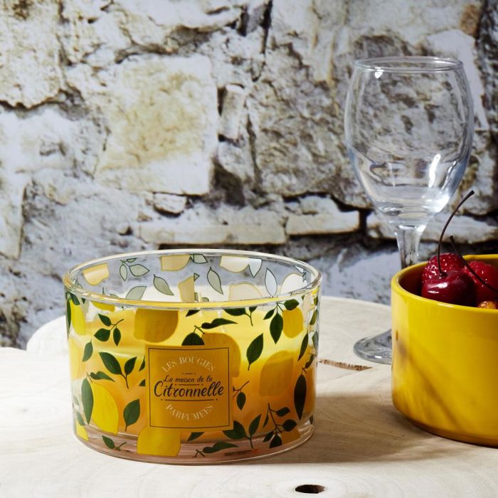 Home Deco Factory Vela Citronela 3 Mechas Antimoustique Recipiente Vidrio 370g Duración 28h 1