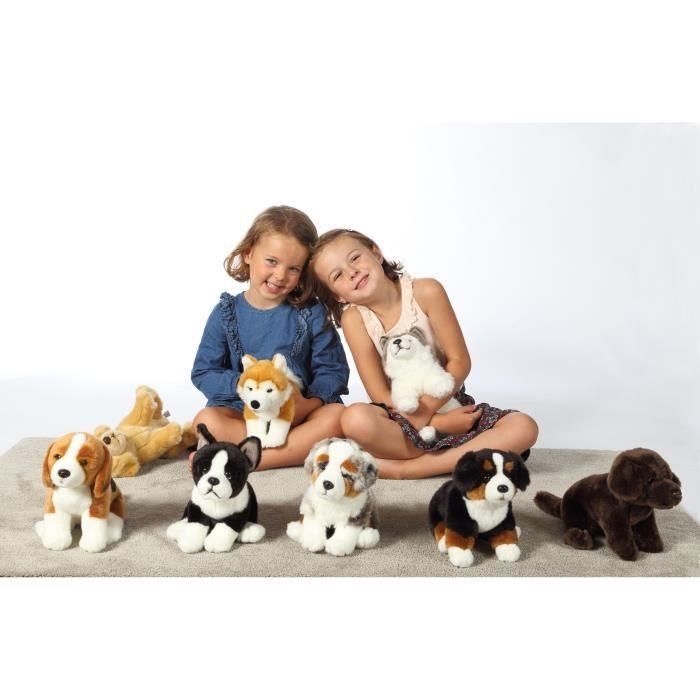 Peluche - Gipsy Toys - Perro sentado - 25cm - Pastor Australiano 3 Peluche - Gipsy Toys - Perro sentado - 25cm - Pastor Australiano 3