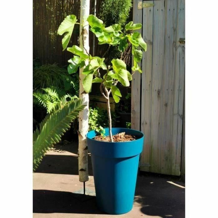 Riviera RIV3580794153061 Jardinera SOLEILLA Plástico Azul, Alto 53 cm Riviera RIV3580794153061 Jardinera SOLEILLA Plástico Azul, Alto 53 cm