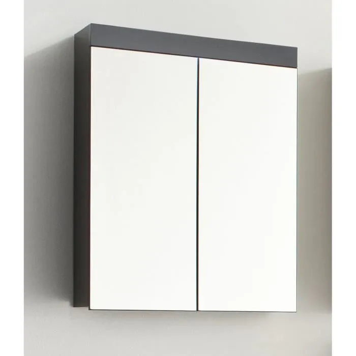 Trendteam Mueble de Baño Amanda 2 Puertas Espejo Gris 60x17x77cm 0 Trendteam Mueble de Baño Amanda 2 Puertas Espejo Gris 60x17x77cm 0
