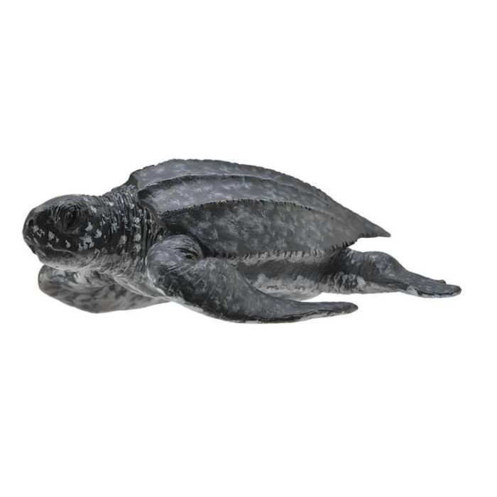 Tortuga Laud -M- 88680 Collecta Tortuga Laud -M- 88680 Collecta