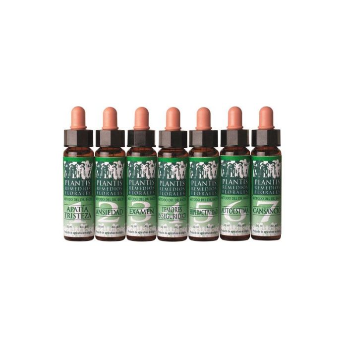 Plantis Remedio Nº 3 Exámenes Concentración y Memoria Eco 10ml