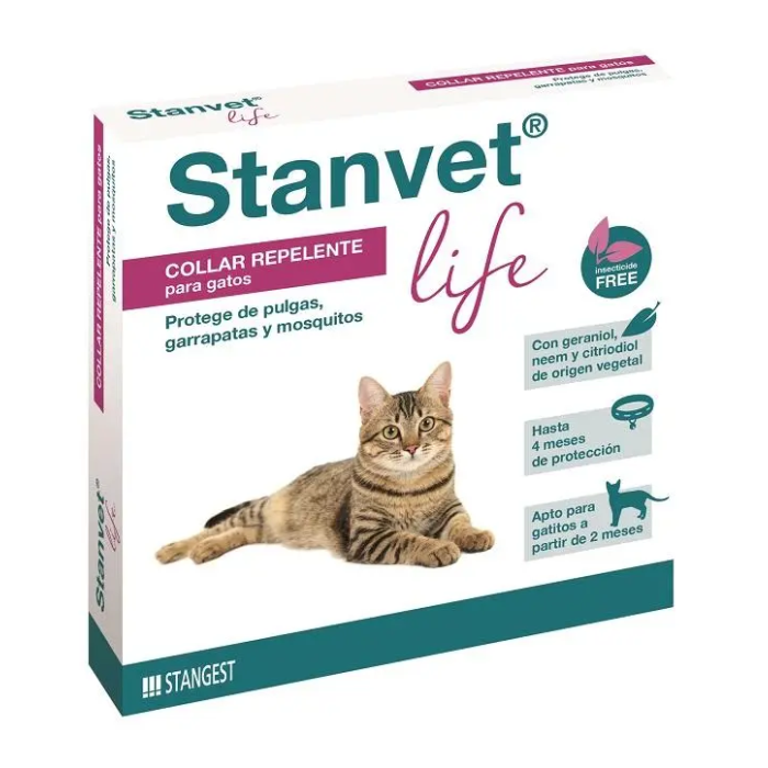 Stangest Collar Gato Stanvet Life